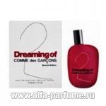 парфюм Comme des Garcons Comme des Garcons 2 Dreaming of