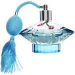 парфюм Britney Spears Curious (Wom) 100ml Edp *Tester