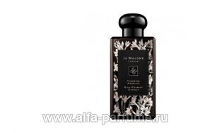 Jo Malone Tuberose Angelica Rich