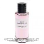 Christian Dior Gris Montaigne