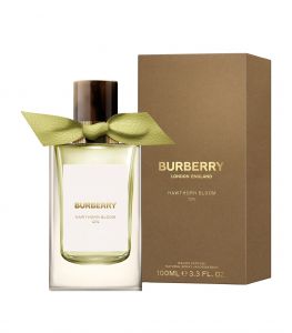 Burberry Hawthorn Bloom 12%