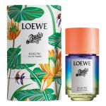 Loewe Paula's Ibiza Eclectic