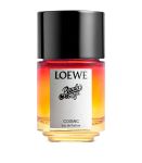 Loewe Paula's Ibiza Cosmic