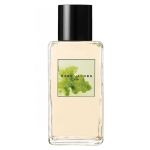Marc Jacobs Marc Jacobs Splash Fig