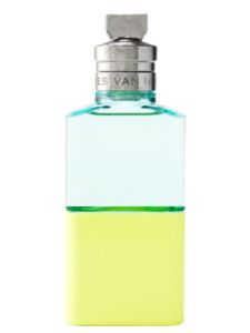 Dries Van Noten Neon Garden