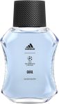 Adidas UEFA Champions League Goal