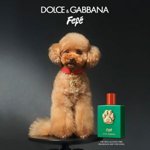 Dolce & Gabbana Fefe