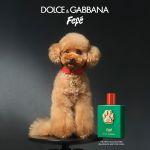 Dolce & Gabbana Fefe