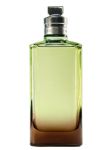 Dries Van Noten Mystic Moss