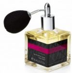 Victoria`s Secret Mood Succulent
