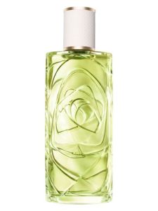 Lancome Off Now
