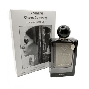 Expensive Chaos Company Can You Hear Me?