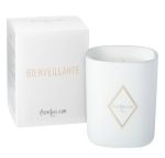 парфюм Pierre Guillaume Bienveillante