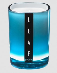 Pierre Guillaume Leaf