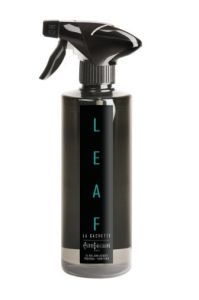 Pierre Guillaume Leaf