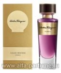 парфюм Salvatore Ferragamo Tuscan Soul Calimala