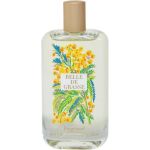 Fragonard Belle De Grasse