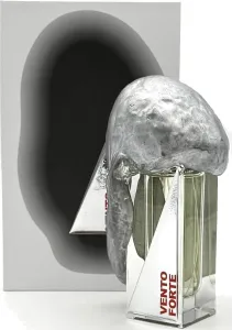 Filippo Sorcinelli Vento Forte