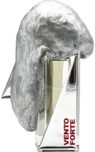 Filippo Sorcinelli Vento Forte