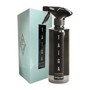 Pierre Guillaume Taiga