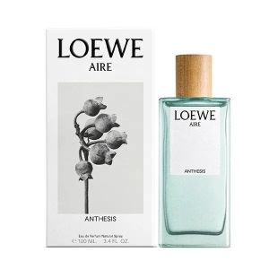 Loewe Aire Anthesis