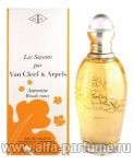 парфюм Van Cleef & Arpels Les Saisons Automne Woody Notes