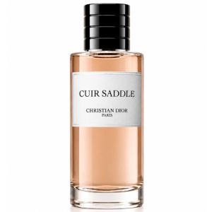 Christian Dior Cuir Saddle