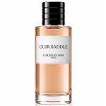 Christian Dior Cuir Saddle