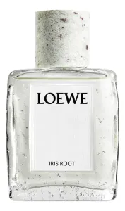 Loewe Iris Root