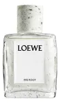 Loewe Iris Root