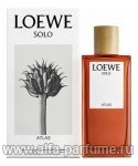 Loewe Solo Atlas