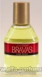 Shiseido Bravas