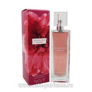 Banana Republic Wildbloom Rouge