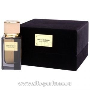 Dolce & Gabbana Velvet Tender Oud