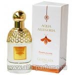 Guerlain Aqua Allegoria Pamplelune