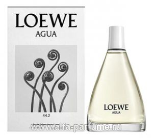 Loewe Agua 44.2