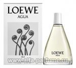 Loewe Agua 44.2