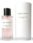 Christian Dior Rose Kabuki