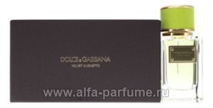 Dolce & Gabbana Velvet Mughetto