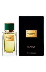 Dolce & Gabbana Velvet Vetiver