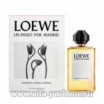 Loewe Amanece La Bella Cibeles