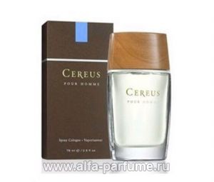Cereus Cereus 5