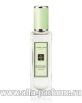 парфюм Jo Malone Elderflower and Gooseberry