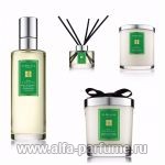 Jo Malone Pine & Eucalyptus