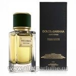 Dolce & Gabbana Velvet Vetiver