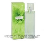 Banana Republic Wildbloom Vert