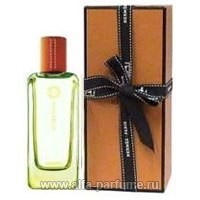 hermes vetiver tonka 15ml