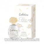 Gres Cabotine Fleur d'Ivoire