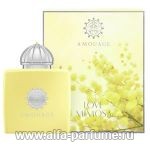 парфюм Amouage Love Mimosa