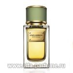 Dolce & Gabbana Velvet Bergamot